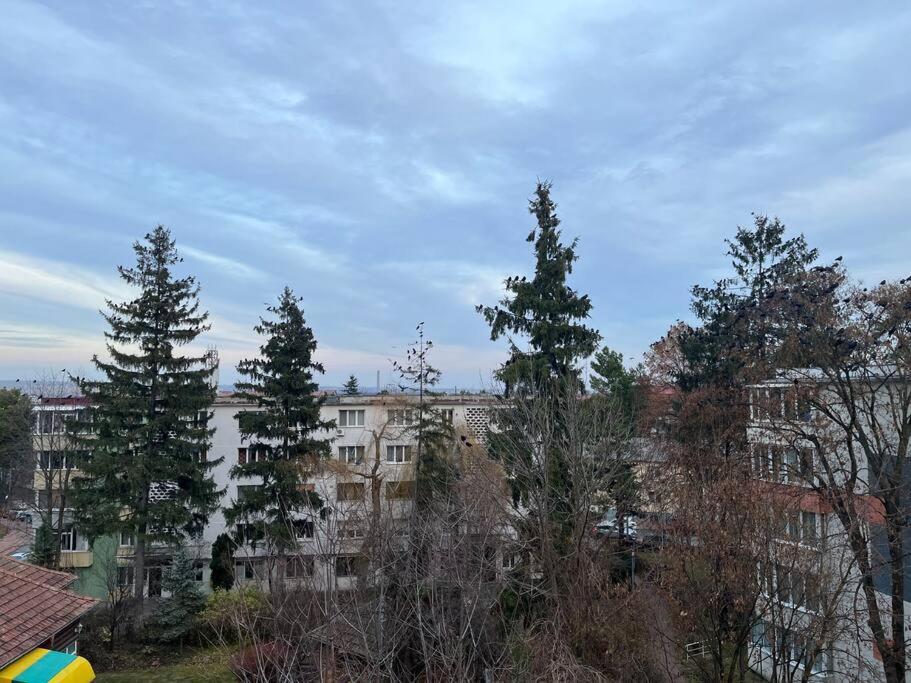 Apartament Theta- Langa Centru, Cada Hidromasaj Suceava Exteriör bild